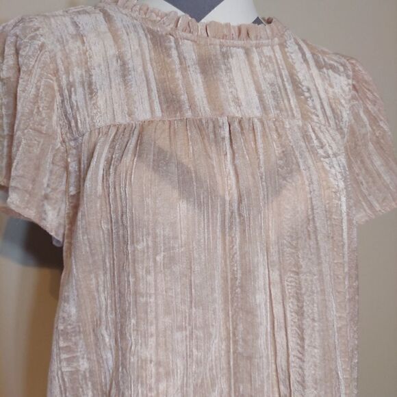 Sheer Crush Flutter Sleeve Blouse - Picture 3 of 7